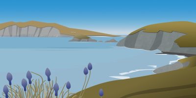 Wat kost een WordPress website (in 2025)?